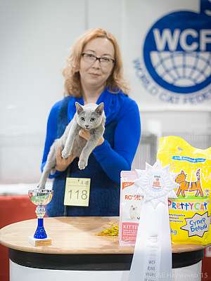   31  - 1  2015 WCF- 9-118-IMG_5888.jpg