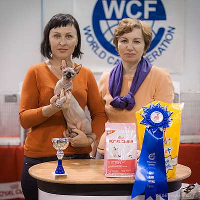   31  - 1  2015 WCF- 10-163-IMG_7709.jpg