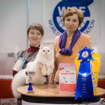   31  - 1  2015 WCF- 3-70-IMG_7687.jpg