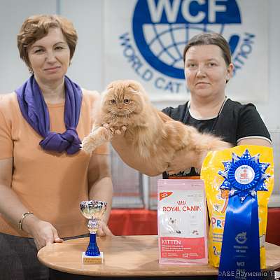   31  - 1  2015 WCF- 4-65-IMG_7693.jpg
