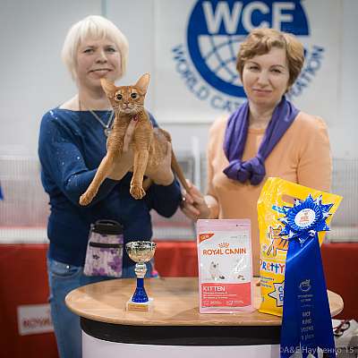   31  - 1  2015 WCF- 5-101-IMG_7695.jpg