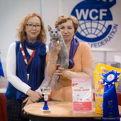   31  - 1  2015 WCF- 6-161-IMG_7696.jpg