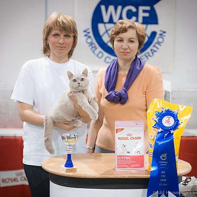   31  - 1  2015 WCF- 8-169-IMG_7702.jpg
