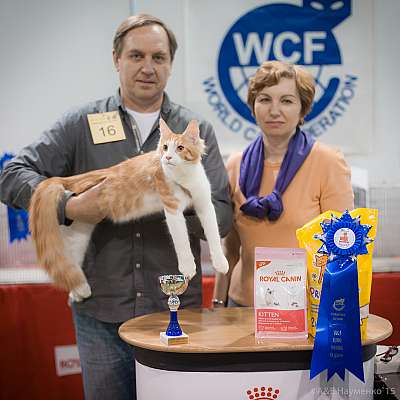  31  - 1  2015 WCF- 9-16-IMG_7705.jpg