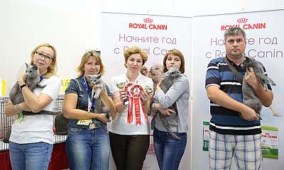   29-30  2015,    169A7520.jpg