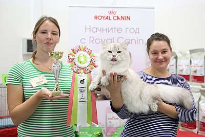   19-20  2015 WCF- 7-121-169A5082.jpg