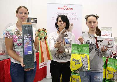   19-20  2015 WCF- 6-93-169A5733.jpg
