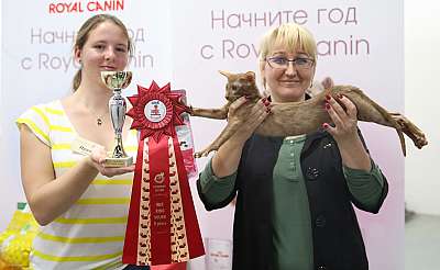   14-15  2015 WCF- 5-181-169A1379.jpg