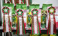     5-6  2015  0-169A9333.jpg
