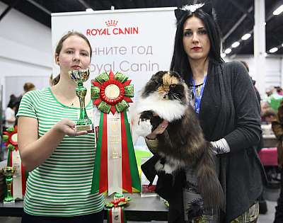   5-6  2015 WCF-  9-64-169A0563.jpg