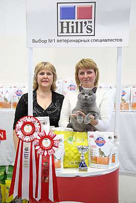    27-28   20161-63-169A2201.jpg