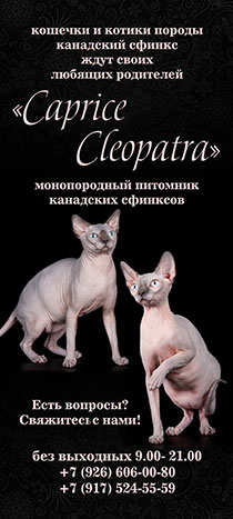    CapriceCleopatra