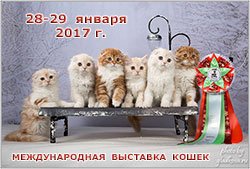    '--' 28-29  2017 .