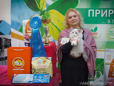    25-26  2017  12-51-IMG_6231.jpg