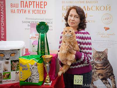    25-26  2017  10-127-IMG_8881.jpg