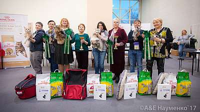    25-26  2017  IMG_8941.jpg