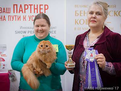    25-26  2017  2-45-IMG_8718.jpg