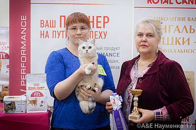    25-26  2017  3-117-IMG_8731.jpg