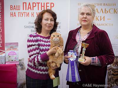    25-26  2017  4-127-IMG_8723.jpg
