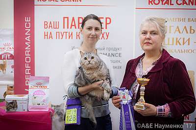    25-26  2017  7-128-IMG_8736.jpg