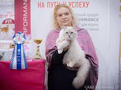    25-26  2017  4-52-IMG_7242.jpg