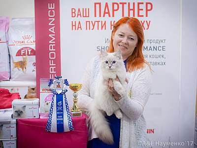    25-26  2017  6-152-IMG_7229.jpg