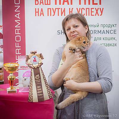    25-26  2017  10-116-IMG_7739.jpg