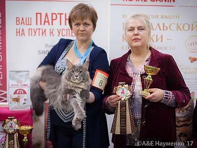   25-26  2017  2-8-IMG_7706.jpg