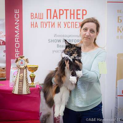    25-26  2017  4-14-IMG_7745.jpg