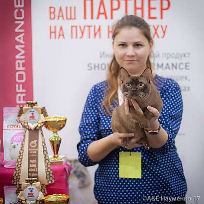    25-26  2017  7-93-IMG_7723.jpg