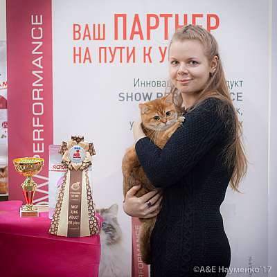    25-26  2017  8-119-IMG_7734.jpg