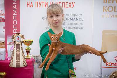    25-26  2017  9-135-IMG_7729.jpg