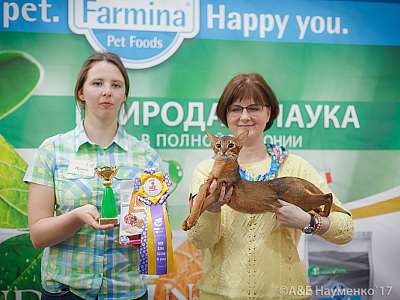    25-26  2017  6-88-IMG_5291.jpg