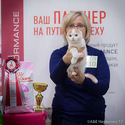    25-26  2017  1-110-IMG_8473.jpg