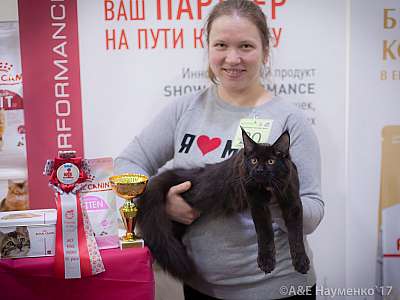    25-26  2017  7-20-IMG_8434.jpg