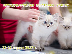    '--' 22-23  2017 .
