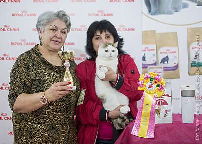 3-108-IMG_7168.JPG