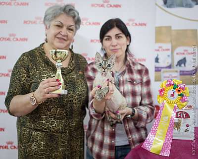 8-135-IMG_7161.JPG