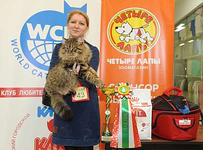   2-3  1-43-DSC_0447.jpg