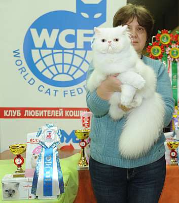   2-3  3-51-DSC_0312.jpg
