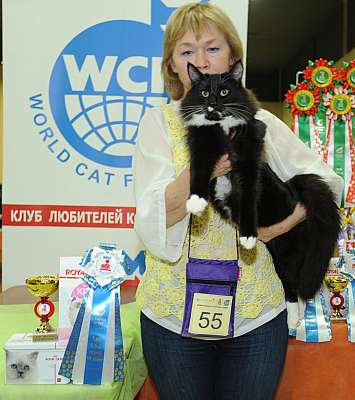   2-3  7-55-DSC_0302.jpg