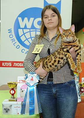   2-3  8-74-DSC_0300.jpg