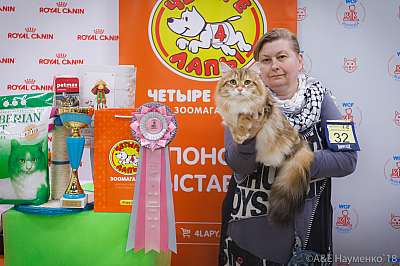   3-4  2018  7-32-0755.jpg