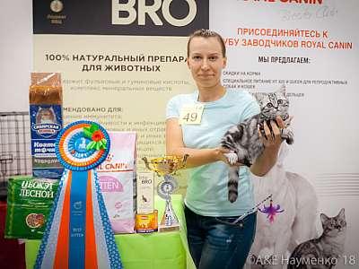   7-8  2018 11-49-0587.jpg