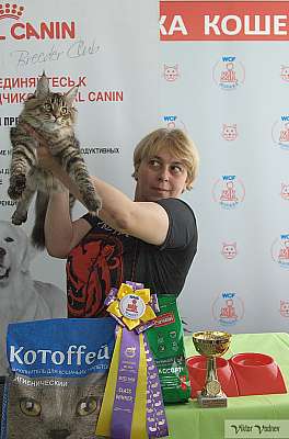   8-9  2018 3-25-IMG_4287.jpg