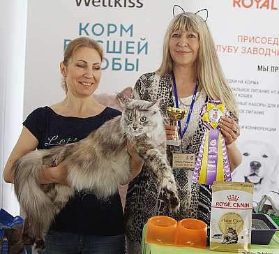   8-9  2018 3-14-IMG_2915.jpg