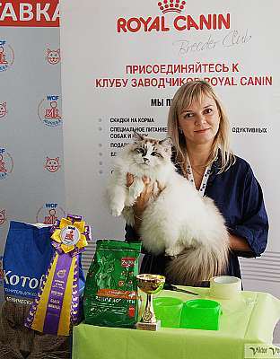   8-9  2018 8-49.jpg