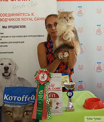   8-9  2018 6-79-IMG_3896.jpg