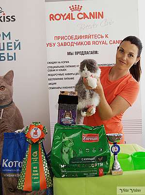   8-9  2018 1-39-IMG_3234.jpg
