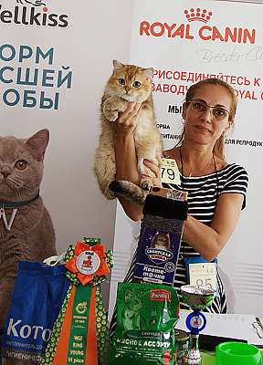   8-9  2018 6-85-IMG_3174.jpg